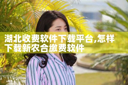 湖北收费软件下载平台
