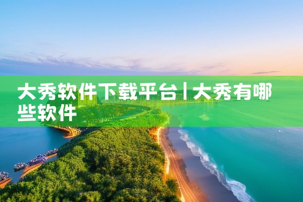大秀软件下载平台