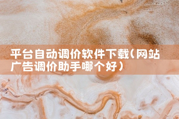 平台自动调价软件下载