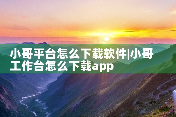 小哥平台怎么下载软件