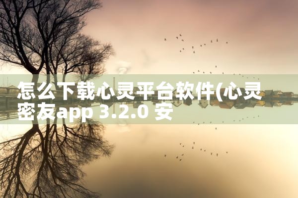 怎么下载心灵平台软件